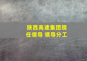 陕西高速集团现任领导 领导分工